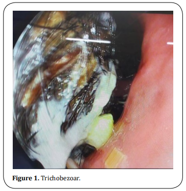 Figure 1.  